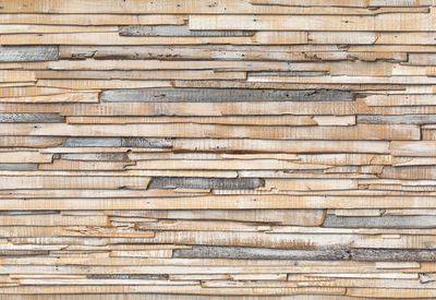 Фото обои Панно KOMAR Whitewashed Woo флизелиновые моющиеся 0NW-920 (368х248 см)