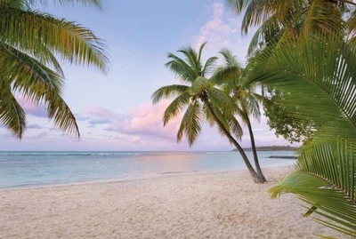Фото обои Панно KOMAR Paradise Morning флизелиновые моющиеся XXL4-528 (368х248 см)