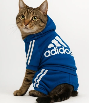 Костюм для котов (кошек) Adidog XS Синий