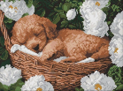 Алмазная мозаика Спящий пудель ©art_selena_ua 30x40 AMO8170 Идейка
