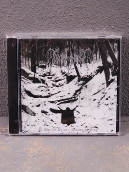 Demoncy - Within The Sylvan Realms Of Frost CD 1703240400
