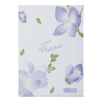 Папка-уголок А4 Buromax Arabeski матовый полупрозрачный пластик (BM.3854-26)
