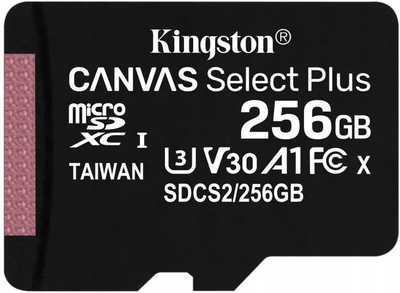 Карта памяти Kingston microSDHC на 256 GB, Class 10 + SD адаптер