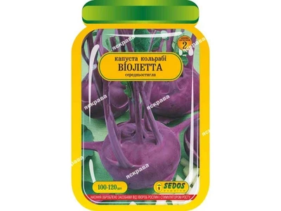 Капуста кольрабі SEDOS Віолета (25 пачок) інкрустоване 100-120 нас.