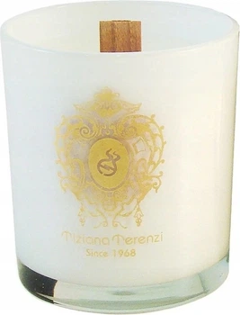 Ароматична свічка Tiziana Terenzi Extreme Sense 170 г (8016741082252)