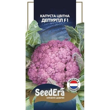 Насіння Капуста кольорова 10шт Депурпл F1 середньостигла SeedEra