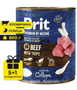 Вологий корм з яловичиною та рубцем Brit Premium Beef with Tripe консерва для собак 800 г 5+1 шт (8595602561834)