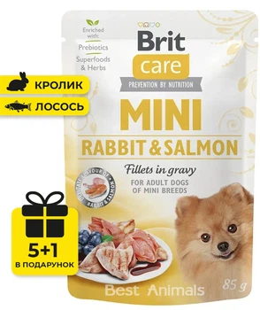 Вологий корм з кроликом та лососем філе в соусі Brit Care Mini Rabbit & Salmon для собак мініатюрних порід пауч 85 г 5+1 шт (8595602560332)