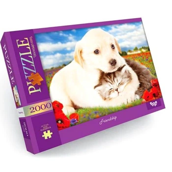 Пазлы Дружба 2000 элементов Dankotoys картонные для взрослых и детей (539501)