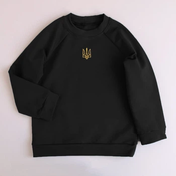 Детский реглан с вышитым тризубом, двунитка 128-134 см черный FD34-Tryzub-Black-34 Ladan