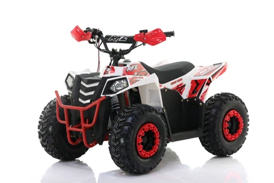 Электроквадроцикл Apollo Commander E1000