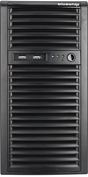 Serwer Bluechip SERVERline T10301s (4250749706718)