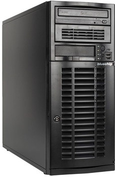Serwer Bluechip SERVERline T40317s (4250749711187)