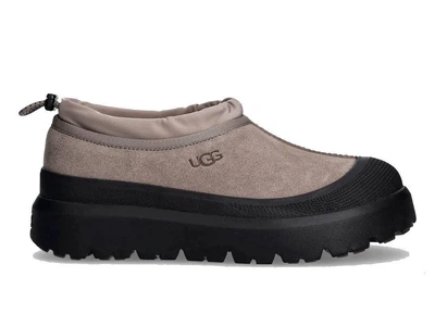 Жіночі Уггі UGG Tasman Weather Hybrid Smoke Plume 1144096-SMKPL 39р. Сірий
