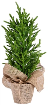 Choinka sztuczna HOMLA 714450 Hector w jucie 40 cm Zielona (5906496714450)