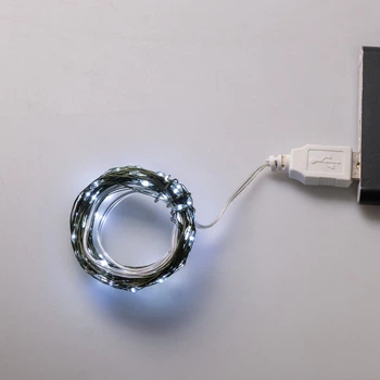 Гірлянда Роса USB 100 LED 10 м зелений/холодний білий GarlandoPro USB100L10MGW