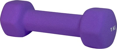 Гантель неопренова Stein 1 кг Фіолетова (DB3058-1 violet)