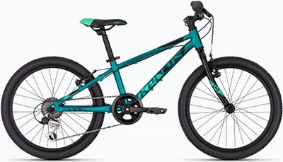 Велосипед гірський (MTB) Kellys Lumi 30 Teal