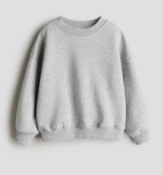 Світшот для хлопчика H&M утеплений 110-116 см Сірий