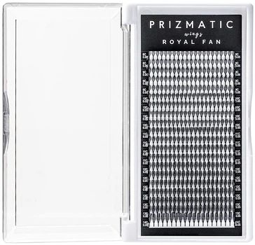 Вії для нарощування CC, 0,05, (8-14), mix, 20 ліній - Sculptor Prizmatic Wings Royal Fan Sculptor Prizmatic Wings Royal Fan