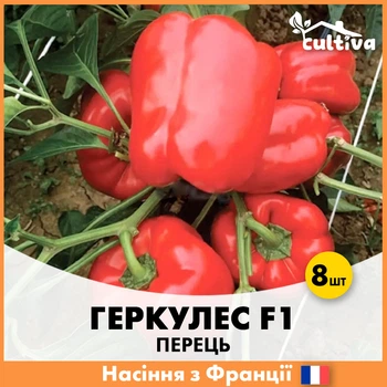 Французьке насіння Clause Перець Геркулес F1, 8 шт