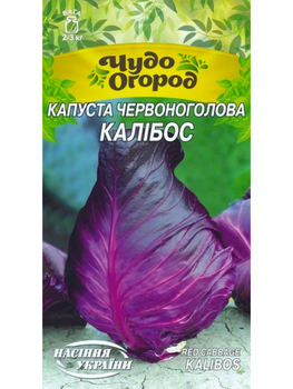 Капуста червоноголова "Калібос" ТМ "Насіння України" 0,5г.
