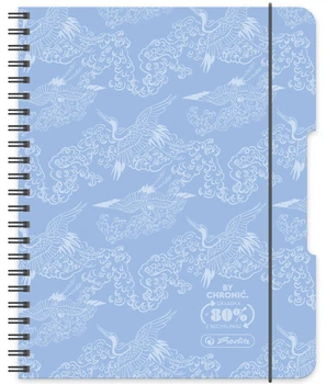 Набір спіральних блокнотів Herlitz Pastel A4 80 аркушів у клітинку на спіралі блакитний 4 шт (5901389500493)