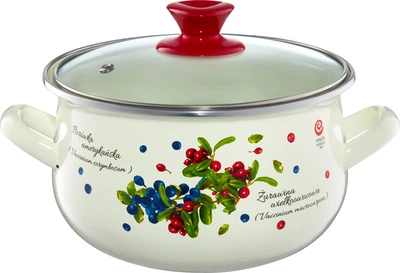 Каструля Emalia Olkusz Borówka емальована Біло-червона 20 см 4.2 л (5904134230270)