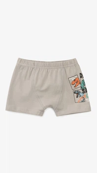 Трусы для мальчика Nicoletta 31006 2-3 года Серый shop (2000999353994)