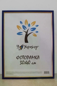 Фоторамка Алан 30х40 см синя із золотою вставкою, багет 1511 Оргскло