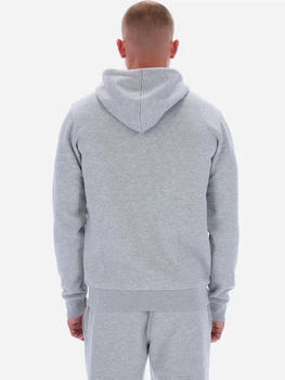 Толстовка чоловіча Colton Small Logo Zi