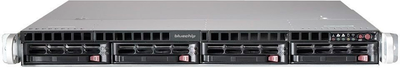 Serwer Bluechip SERVERline R31309s (4250749708736)