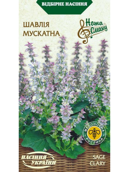 Шавлія "Мускатна" ТМ "Насіння України" 0,2м.