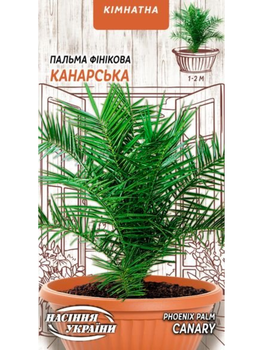 Пальма фінікова "Канарська" ТМ "Насіння України" 2 шт.