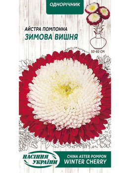 Астра помпонна "Зимова вишня" ТМ "Насіння України" 0,25г.