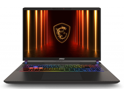 Ноутбук MSI Vector 16 HX (A2XWIG-40321) Cosmo Gray