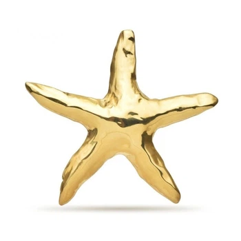 Брошь BROCHE бижутерия из стали Морская Звезда золотистая BRBF115152