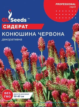 Клевер Красный семена (30 г) газонный для газона медонос сидерат, Professional, TM GL Seeds