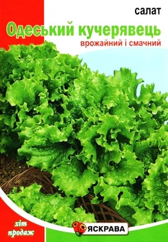 Семена салата Одесский кучерявец Яскрава 10г