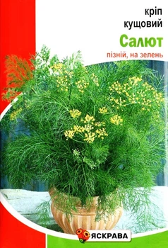 Семена укропа Салют кустовой Яскрава 20г