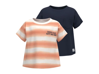 Футболка набор 2 шт. для мальчика Lupilu LIDL 405719 098-104 см (2-4 years) Комбинированный