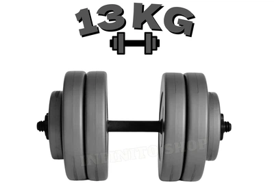 Гантель наборная композитная WCG Grey Edition 13 кг (пластиковый гриф со стальным стержнем)