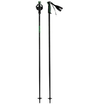 Палки горнолыжные Head Frontside 2024 110 Black/Green (1092-724794647196)