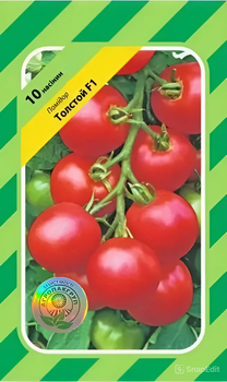 Семена томата Толстой F1, ранний, Bejo Zaden, 10 шт.