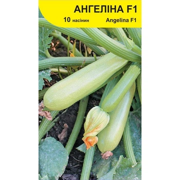 Насіння кабачка Ангеліна F1, Syngenta, 10 шт.