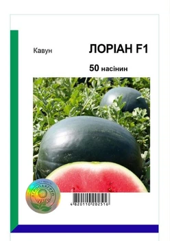Семена арбуз Лориан, Singenta, 50 шт.