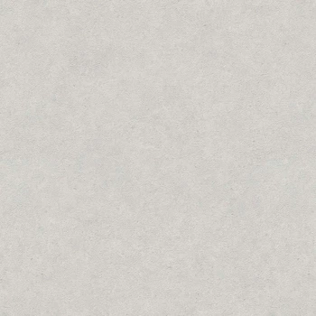 Обои флизелиновая erismann gmk v fashion for walls (p.2) 12262-31 однотонные под бетон серый Германия