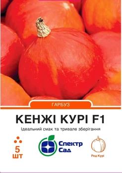 Насіння гарбуза Кенджі Курі F1 5шт
