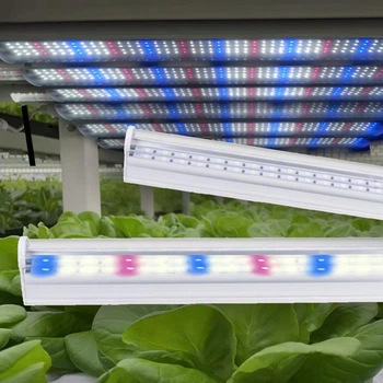 Фітолампа для рослин T8-D LED 18W 60 см повний спектр (4000K + 450nm + 660nm) — для росту та підсвітки рослин