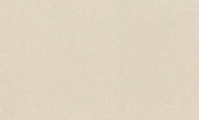 Tapeta winylowa RASCH FACTORY STYLE 1.06 x 10 m (947465)